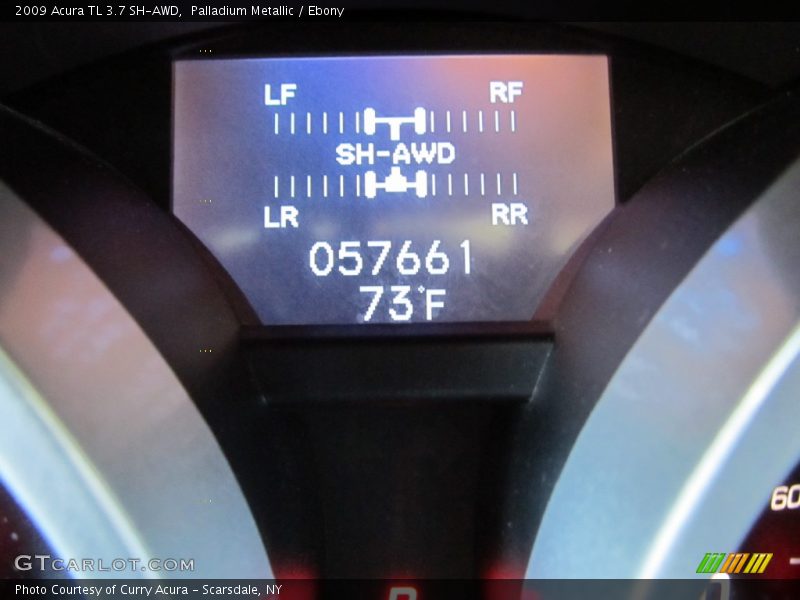 Palladium Metallic / Ebony 2009 Acura TL 3.7 SH-AWD