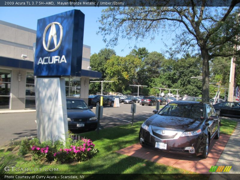 Mayan Bronze Metallic / Umber/Ebony 2009 Acura TL 3.7 SH-AWD