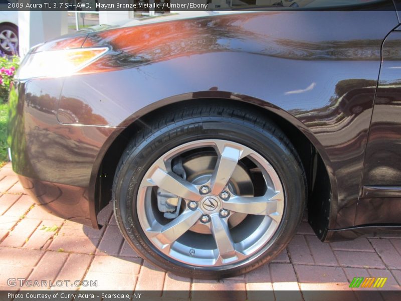Mayan Bronze Metallic / Umber/Ebony 2009 Acura TL 3.7 SH-AWD