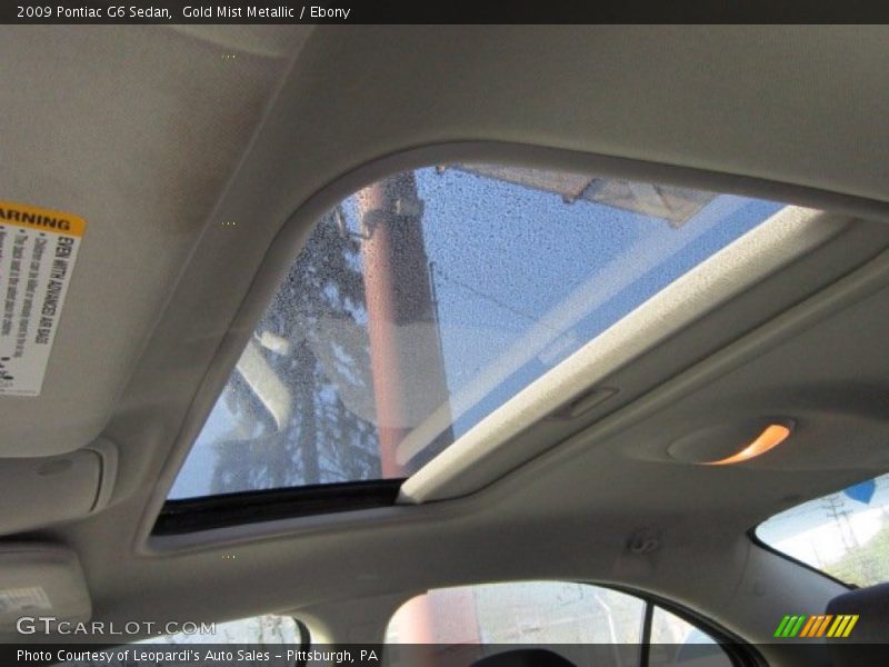Gold Mist Metallic / Ebony 2009 Pontiac G6 Sedan
