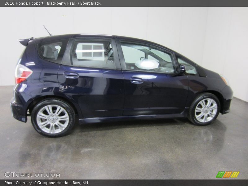  2010 Fit Sport Blackberry Pearl