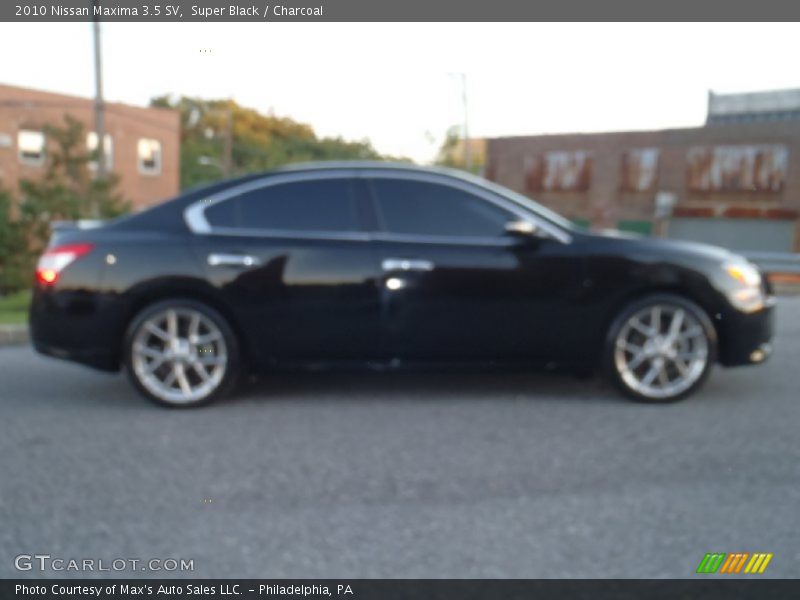 Super Black / Charcoal 2010 Nissan Maxima 3.5 SV