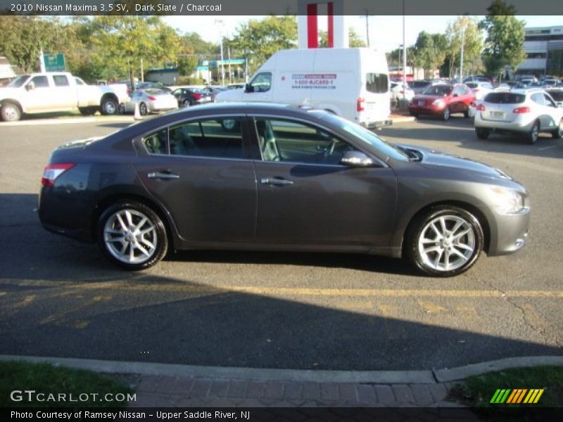 Dark Slate / Charcoal 2010 Nissan Maxima 3.5 SV