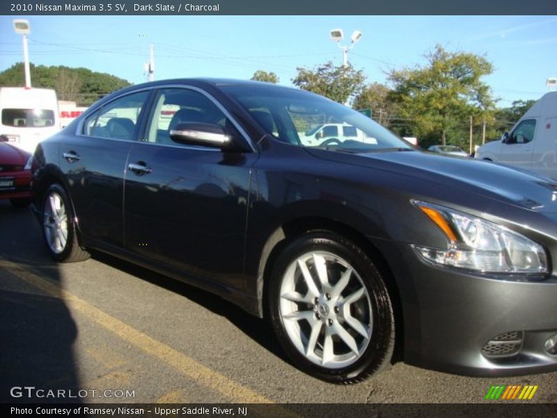 Dark Slate / Charcoal 2010 Nissan Maxima 3.5 SV
