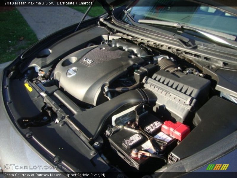 Dark Slate / Charcoal 2010 Nissan Maxima 3.5 SV
