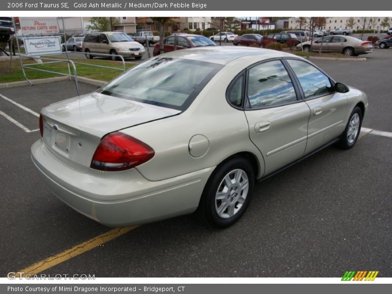Gold Ash Metallic / Medium/Dark Pebble Beige 2006 Ford Taurus SE