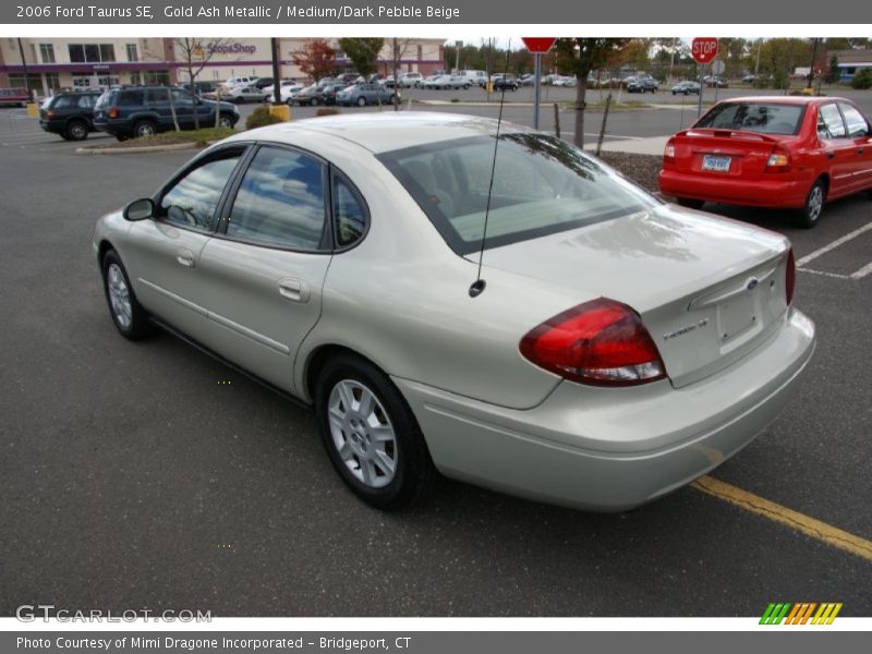 Gold Ash Metallic / Medium/Dark Pebble Beige 2006 Ford Taurus SE