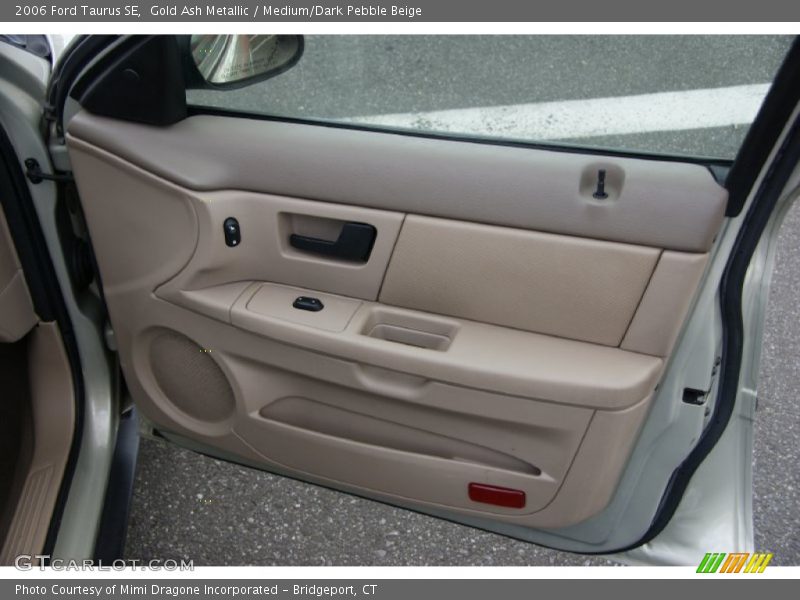 Door Panel of 2006 Taurus SE