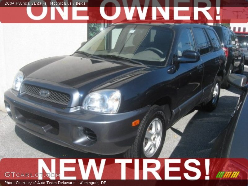 Moonlit Blue / Beige 2004 Hyundai Santa Fe