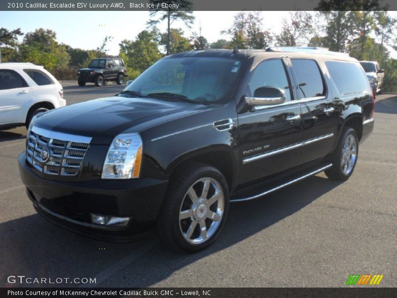 Black Ice / Ebony 2010 Cadillac Escalade ESV Luxury AWD