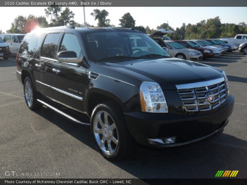 Black Ice / Ebony 2010 Cadillac Escalade ESV Luxury AWD