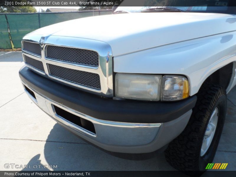 Bright White / Agate 2001 Dodge Ram 1500 ST Club Cab 4x4