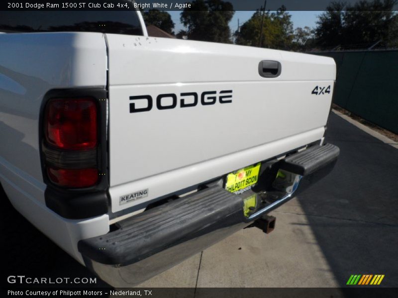 Bright White / Agate 2001 Dodge Ram 1500 ST Club Cab 4x4
