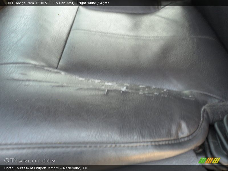 Bright White / Agate 2001 Dodge Ram 1500 ST Club Cab 4x4