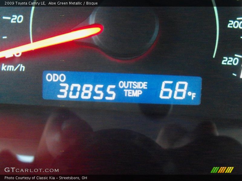 Aloe Green Metallic / Bisque 2009 Toyota Camry LE