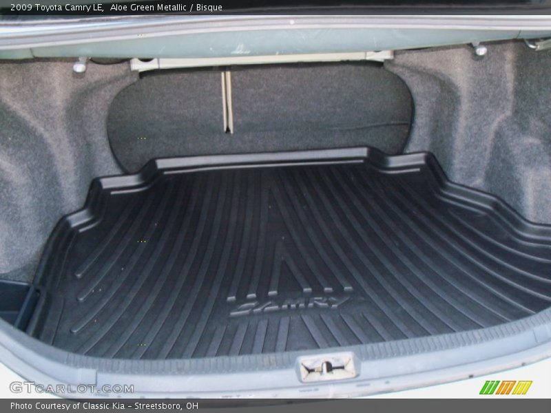 Aloe Green Metallic / Bisque 2009 Toyota Camry LE