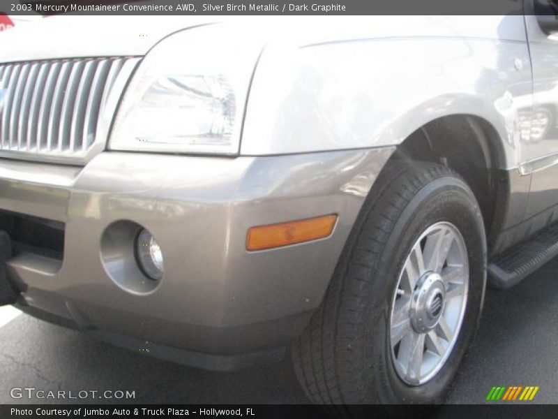 Silver Birch Metallic / Dark Graphite 2003 Mercury Mountaineer Convenience AWD