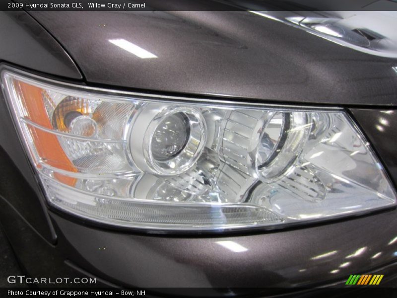 Willow Gray / Camel 2009 Hyundai Sonata GLS