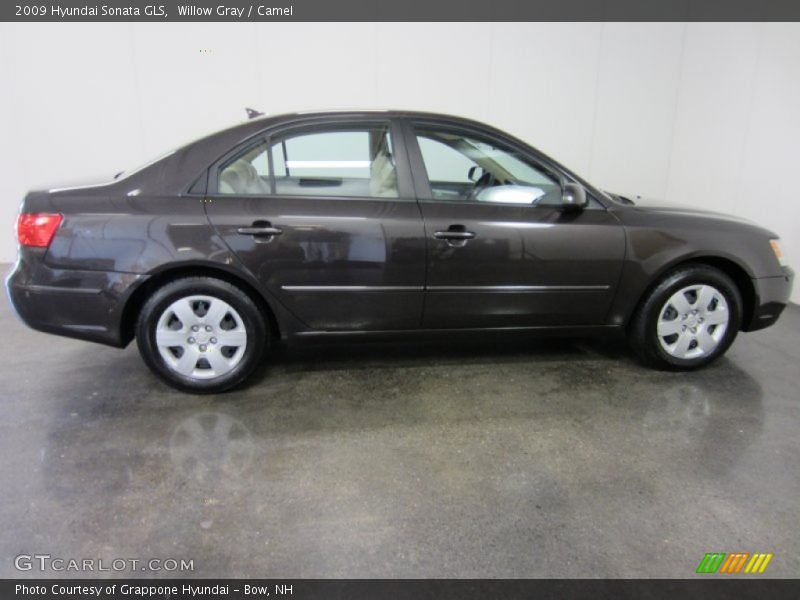 Willow Gray / Camel 2009 Hyundai Sonata GLS