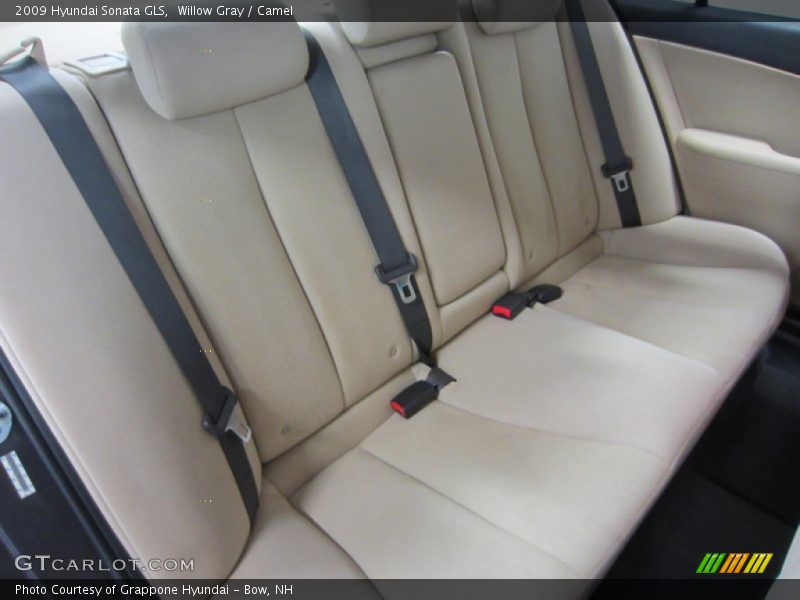Willow Gray / Camel 2009 Hyundai Sonata GLS