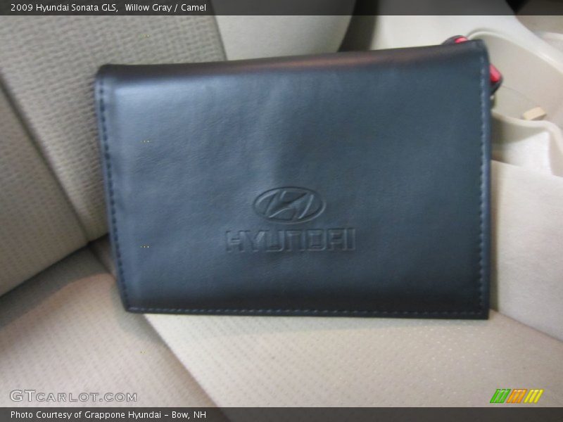 Willow Gray / Camel 2009 Hyundai Sonata GLS