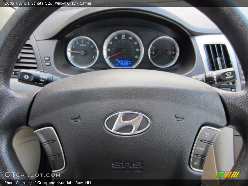 Willow Gray / Camel 2009 Hyundai Sonata GLS