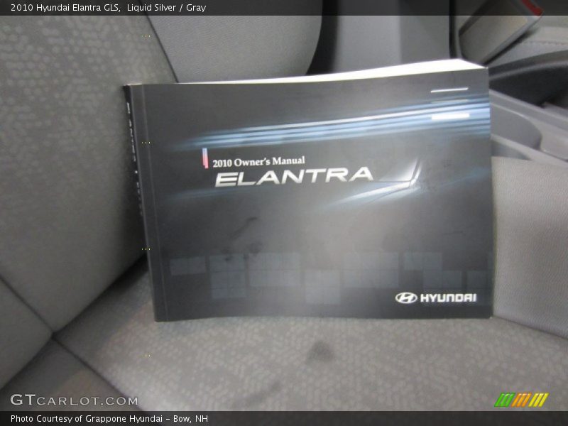 Liquid Silver / Gray 2010 Hyundai Elantra GLS