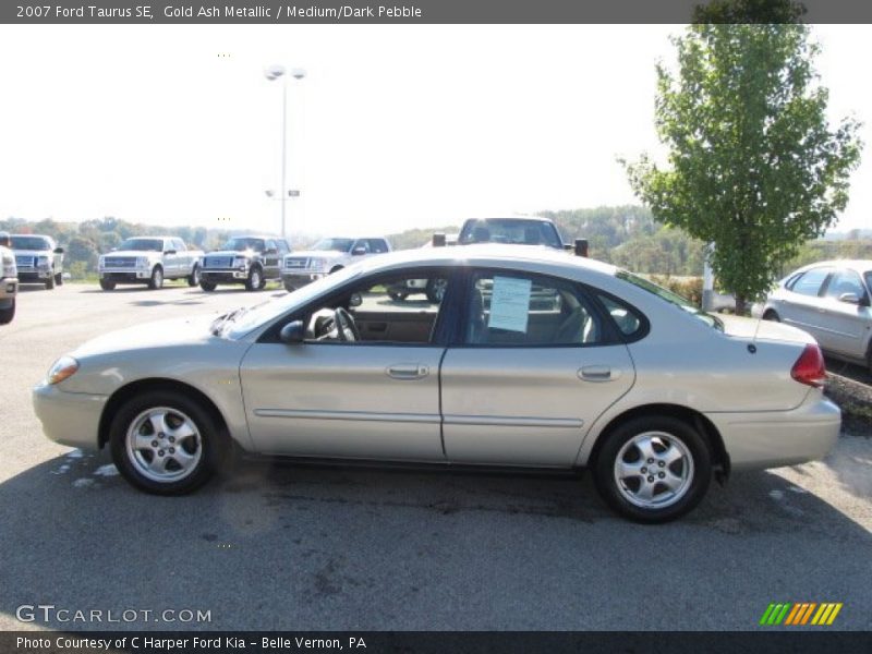 Gold Ash Metallic / Medium/Dark Pebble 2007 Ford Taurus SE