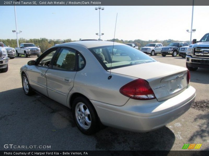 Gold Ash Metallic / Medium/Dark Pebble 2007 Ford Taurus SE