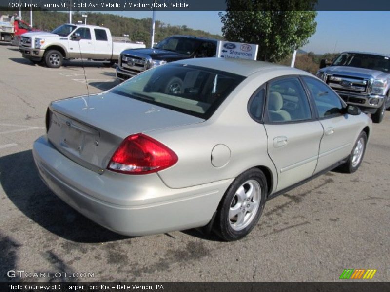 Gold Ash Metallic / Medium/Dark Pebble 2007 Ford Taurus SE