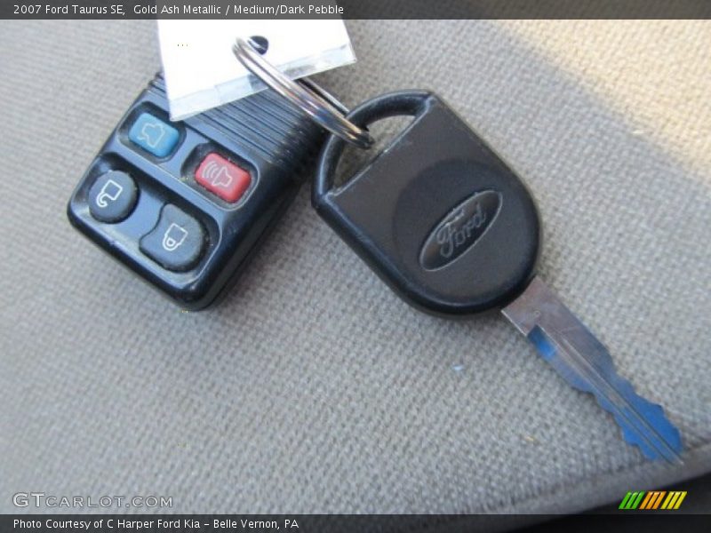 Gold Ash Metallic / Medium/Dark Pebble 2007 Ford Taurus SE