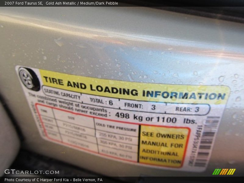 Gold Ash Metallic / Medium/Dark Pebble 2007 Ford Taurus SE