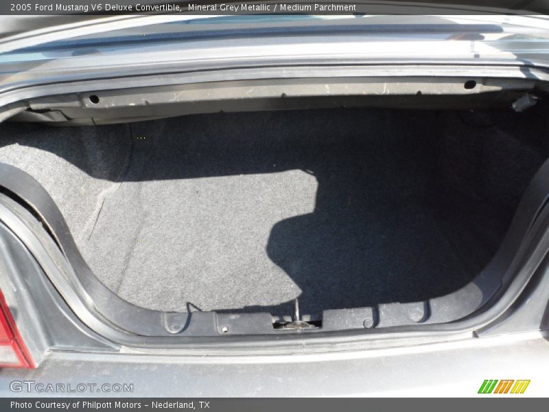 Mineral Grey Metallic / Medium Parchment 2005 Ford Mustang V6 Deluxe Convertible
