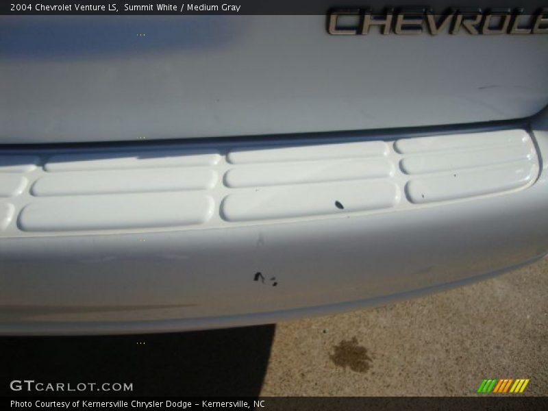 Summit White / Medium Gray 2004 Chevrolet Venture LS