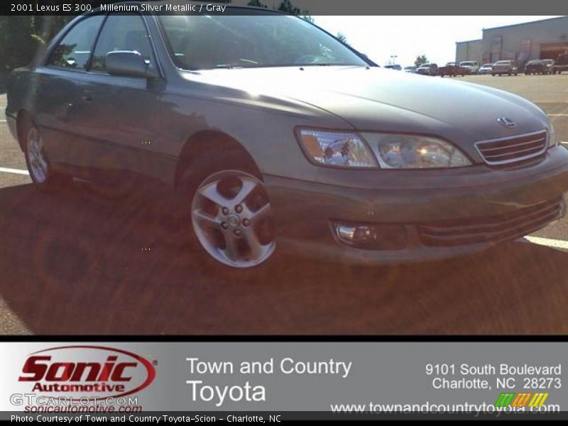 Millenium Silver Metallic / Gray 2001 Lexus ES 300