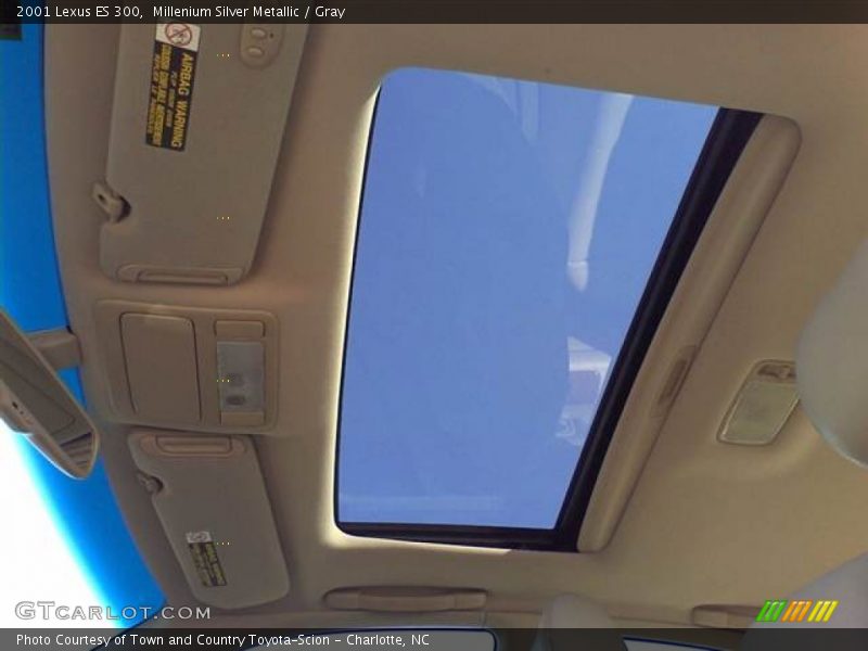 Millenium Silver Metallic / Gray 2001 Lexus ES 300