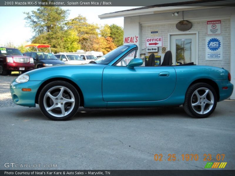 Splash Green Mica / Black 2003 Mazda MX-5 Miata Roadster