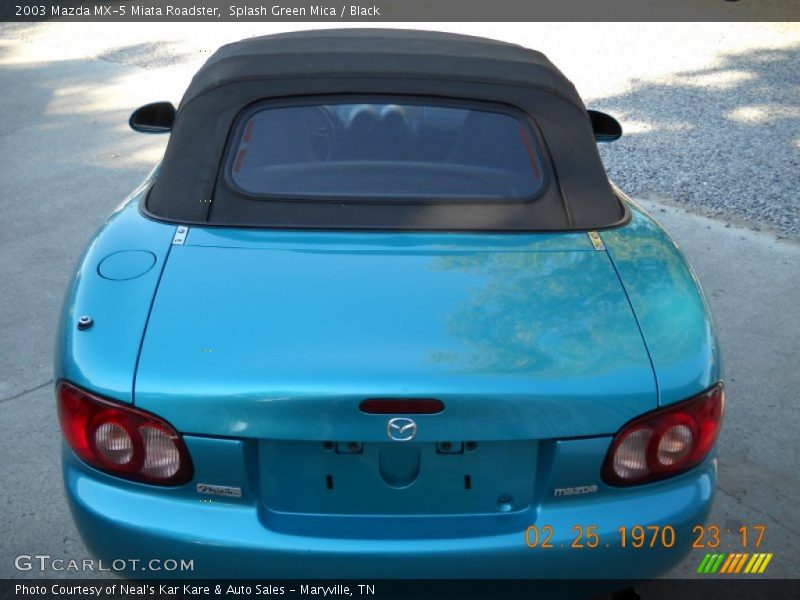 Splash Green Mica / Black 2003 Mazda MX-5 Miata Roadster
