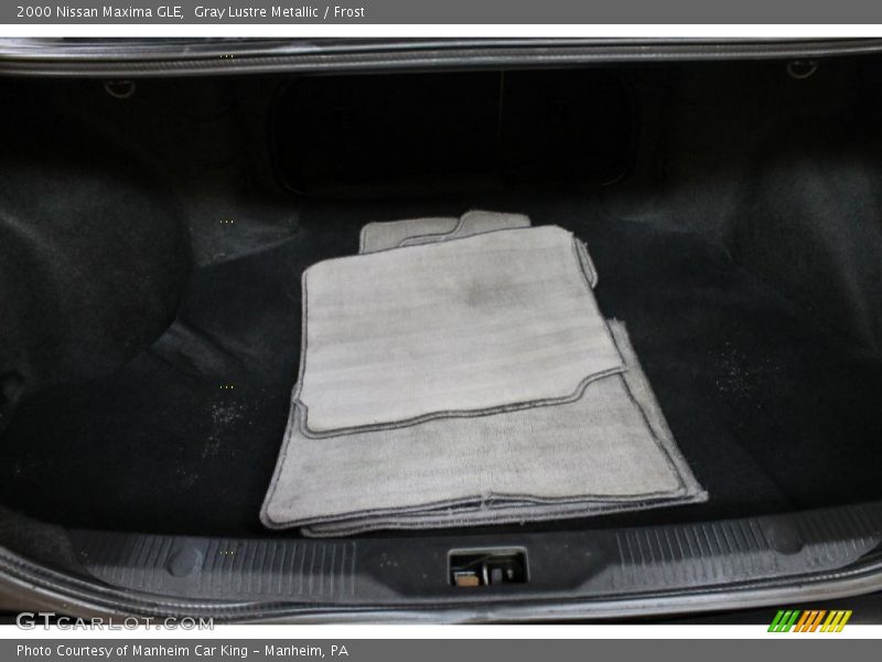 Gray Lustre Metallic / Frost 2000 Nissan Maxima GLE