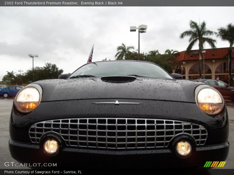 Evening Black / Black Ink 2003 Ford Thunderbird Premium Roadster