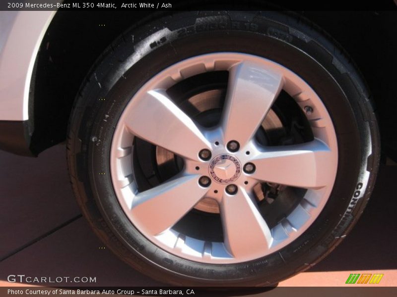 Arctic White / Ash 2009 Mercedes-Benz ML 350 4Matic