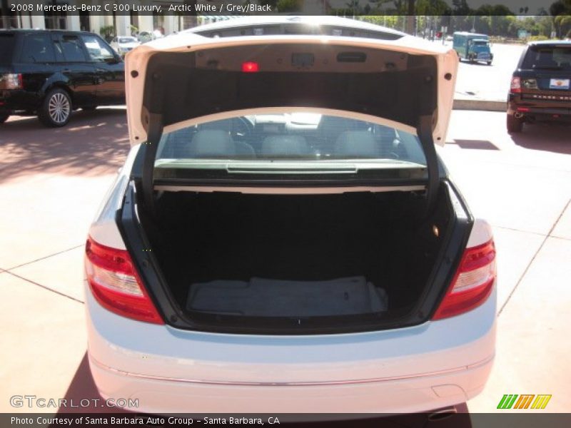 Arctic White / Grey/Black 2008 Mercedes-Benz C 300 Luxury