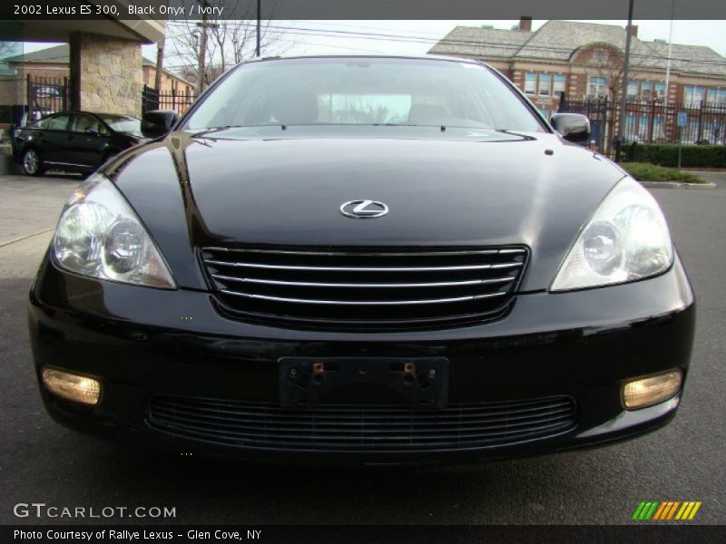 Black Onyx / Ivory 2002 Lexus ES 300