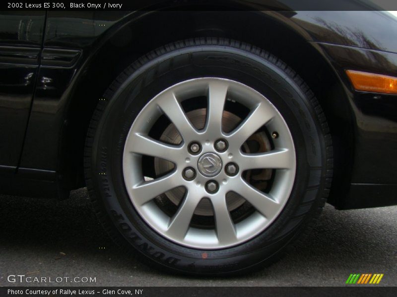 Black Onyx / Ivory 2002 Lexus ES 300