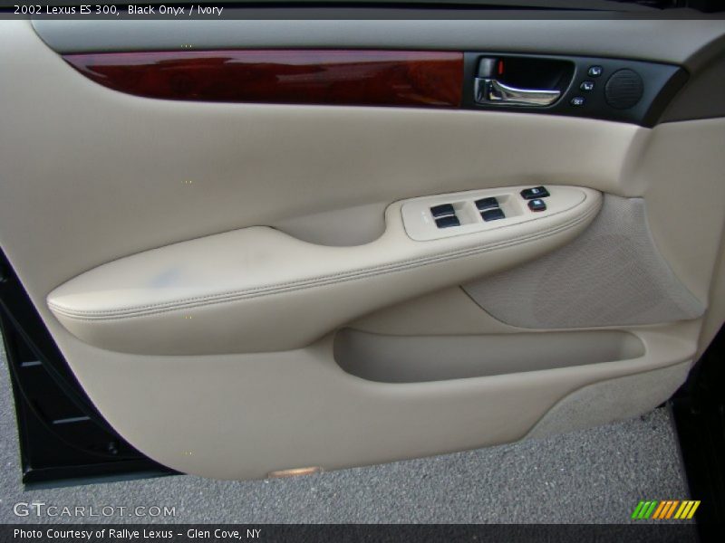 Black Onyx / Ivory 2002 Lexus ES 300