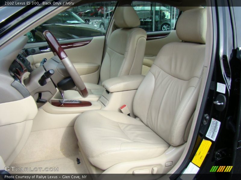 Black Onyx / Ivory 2002 Lexus ES 300