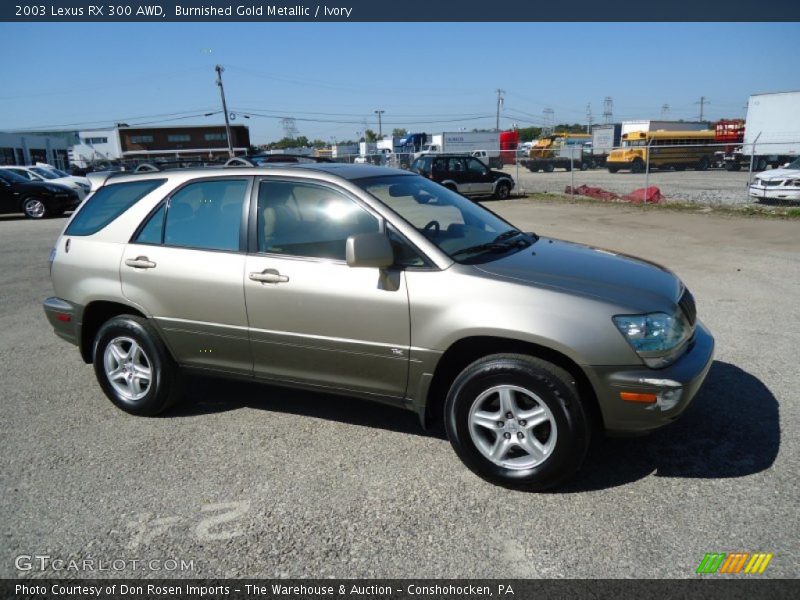 Burnished Gold Metallic / Ivory 2003 Lexus RX 300 AWD