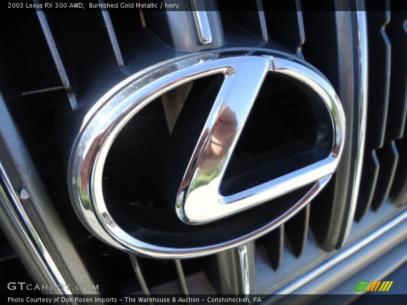 Burnished Gold Metallic / Ivory 2003 Lexus RX 300 AWD