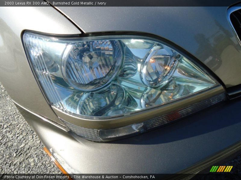 Burnished Gold Metallic / Ivory 2003 Lexus RX 300 AWD