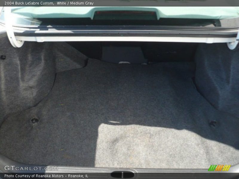 White / Medium Gray 2004 Buick LeSabre Custom